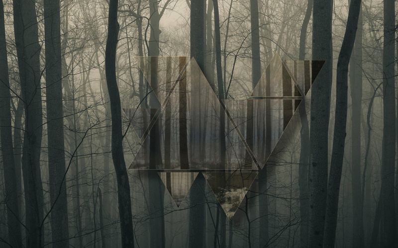 textile, abstract, bare tree, digital composite, tree trunk, fog, nature, window, polyscape, curtain, built structure, land, trunk, woodland, tree, outdoors