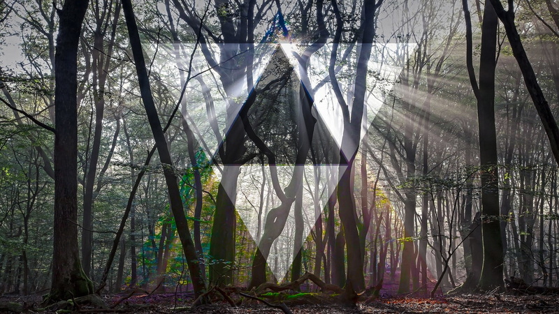 geometry, photo manipulation, sunlight, forest, polyscape, photography, 1080P