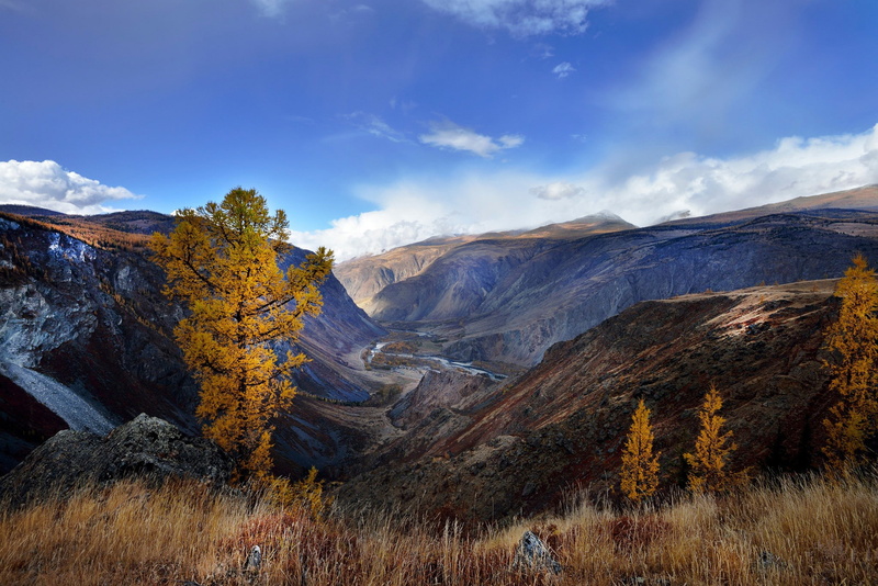 mountains, nature, 1080P, altai, Autumn, Altai Mountains, landscape, painting