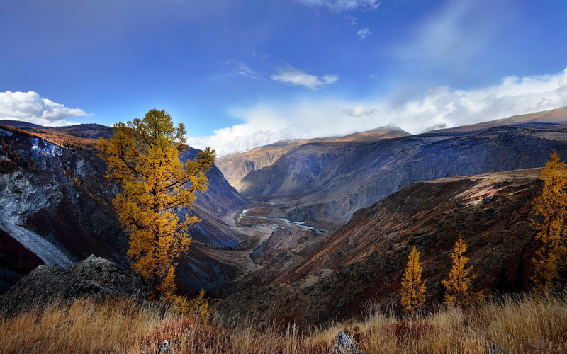 Autumn, 1080P, China, Mountains, Altai