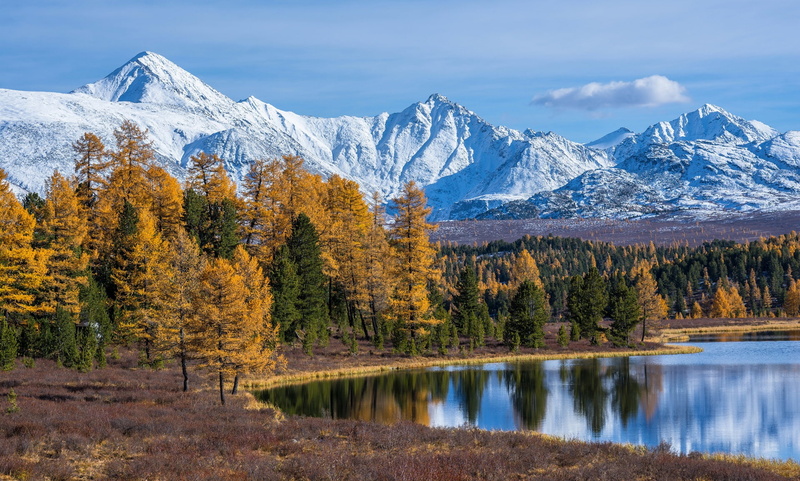mountains, trees, 1080P, Russia, Lake Cicely, lake, autumn, forest, The Altai Mountains