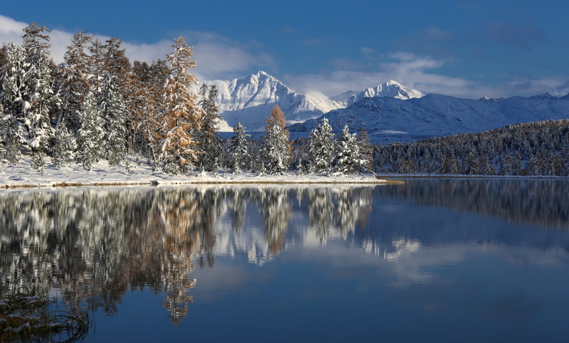 trees, photographer Galina Khvostenko, mountains, Altay, 1080P, lake, winter