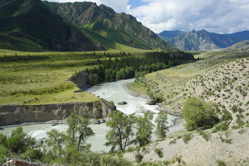 beauty in nature, sky, tree, summer, mountain altai, scenics - nature, river, nature, outdoors, landscape, flowing water, mountain range, 5K, environment
