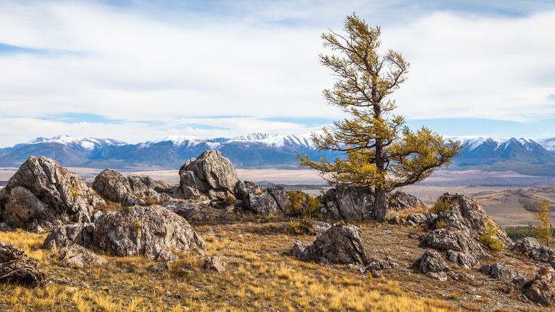 crag, landscape, altai mountains, scenery, 4K, tree, mountains, siberia, lone tree, altai, russia, stones