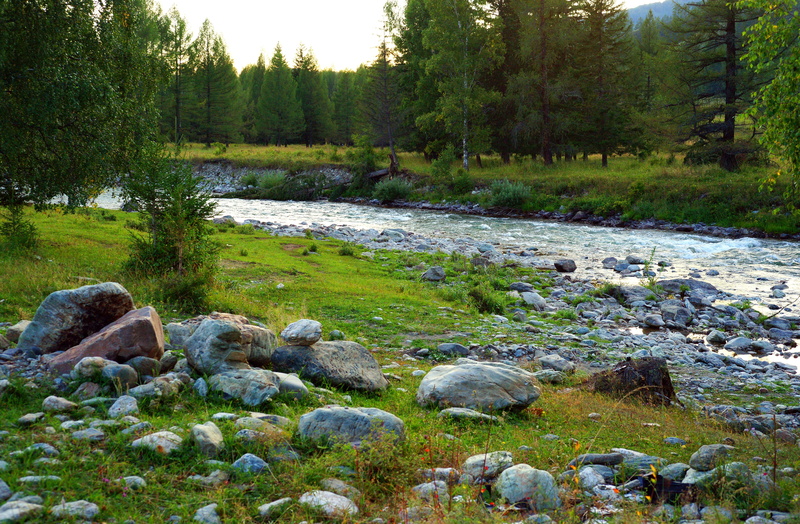 plant, wilderness Area, 5K, sky, mountains, pine woodland, stream, stone - Object, tranquil scene, nature, Mountain Altai, woodland, trees, flowing, beauty in nature