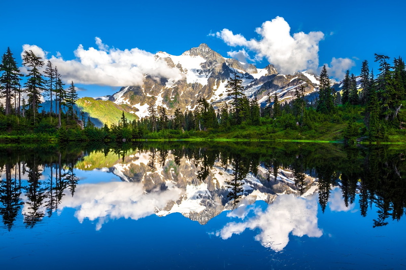 trees, land, mountain, beauty in nature, scenics, lake, outdoors, 1080P, pine woodland, landscape, scenics - nature, calm, no people, usa, picture lake