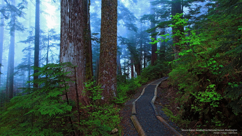 national, washington, Nature, 2K, forest, baker, snoqualmie, mount