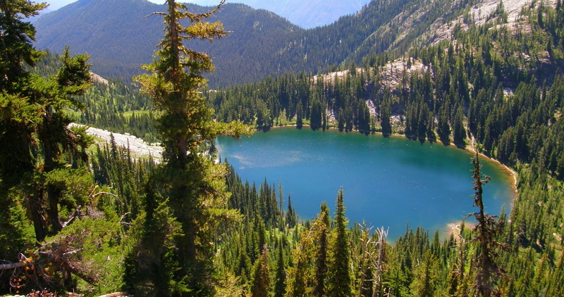 remote, mountain range, pine woodland, growth, plant, woodland, forest, scenics - nature, day, non-urban scene, turquoise colored, mountain, summer, landscape