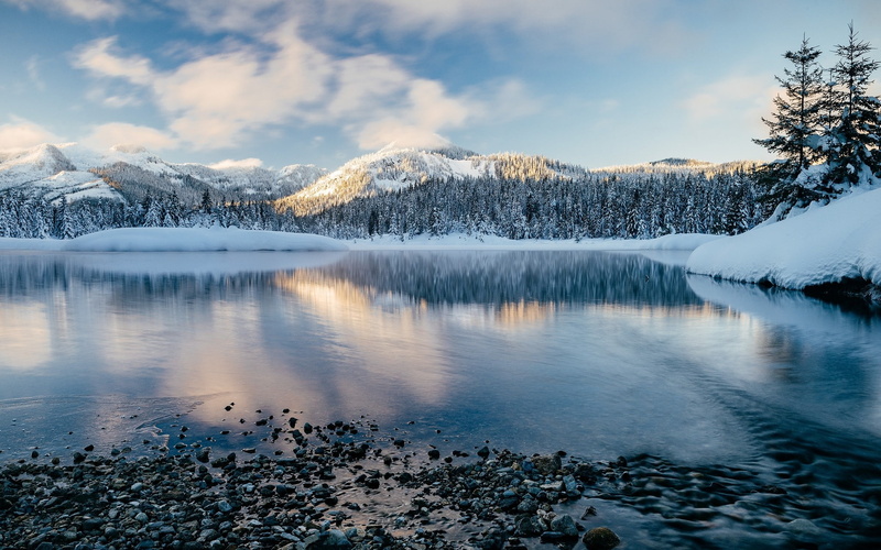 photography, forest, scenics - nature, tree, outdoors, reflection, morning, snowcapped mountain, mountain, beauty in nature, cloud - sky, mountains, water