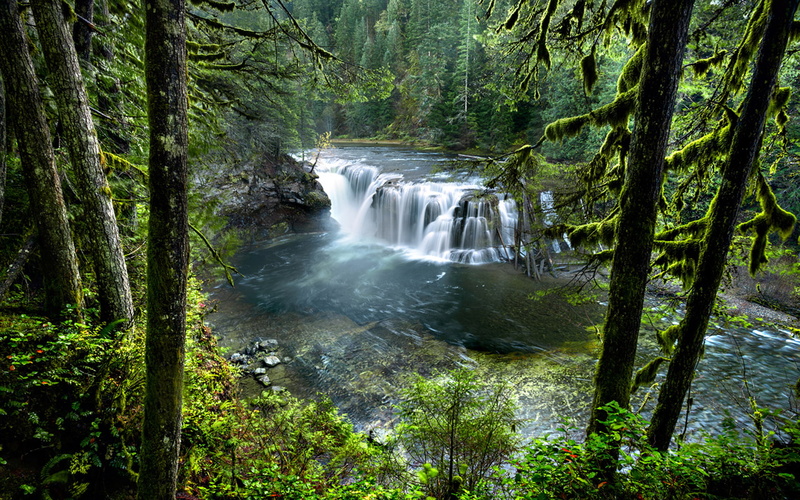 lewis, forest, gifford, nature, cascading, states, national, lower, 1080P, beautiful, washington, waterfalls, river, hd, pinchot, united