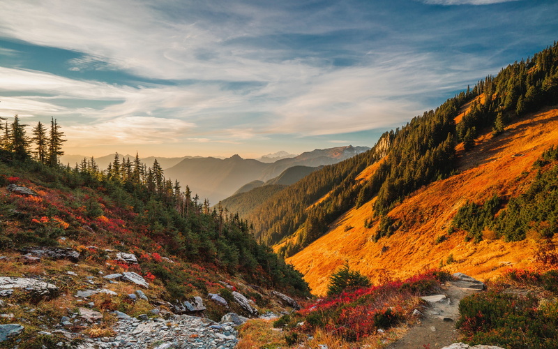 sunset, mountains, USA, " Washington State", "National Park", 4k ultra hd background, "North Cascades National Park", flowers, 4K, trees, landscapes, sunlight