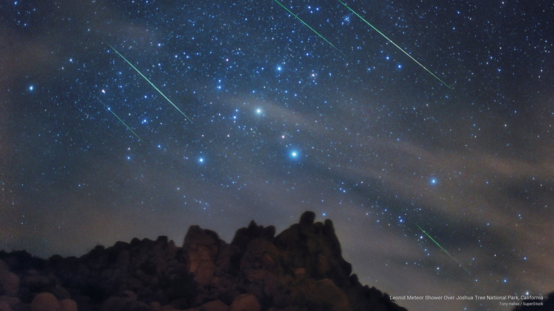 leonid, california, national, meteor, Space, 2K, park, shower, joshua, tree