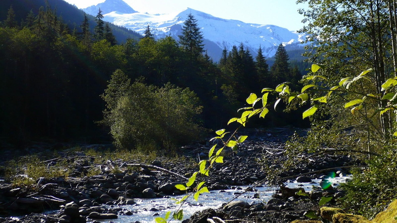 washington, 1080P, forest, mount, water, mountain, stream, widescreen, glacier, creek, 3d and abstract, baker, trees