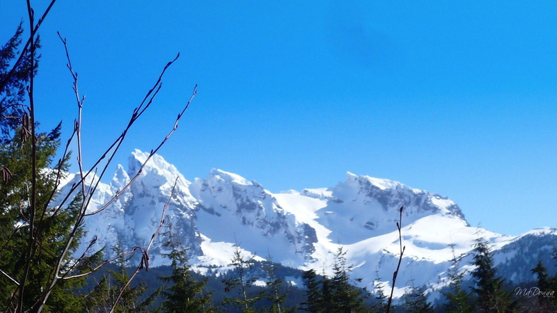 snow, south, trees, washington, widescreen, west, winter, side, mount, mountain, baker, 1080P, 3d and abstract