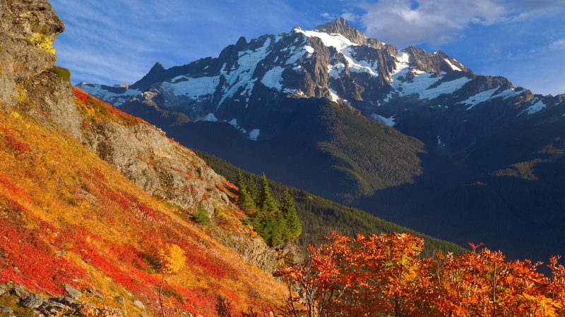 autumn, washington, yellow, baker, 1080P, mount
