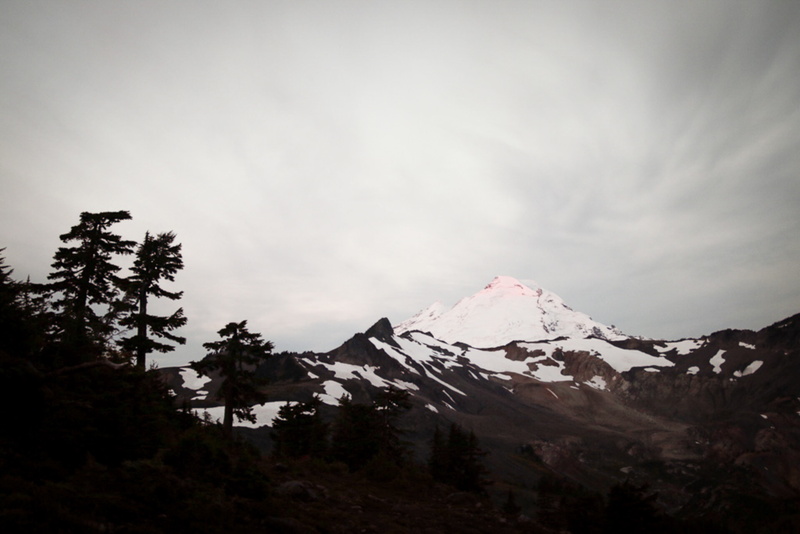 scenics - nature, plant, mountain peak, fir, conifer, covered, trees, alps, ominous, abies, tranquil scene, nature, no people, tree, mountain, winter, grey
