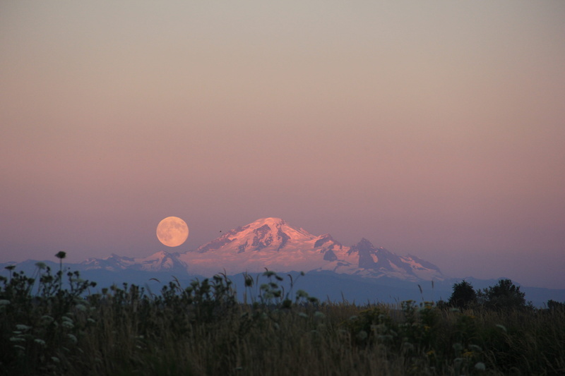 moon, covered, volcano, tranquil scene, lunar, moonrise, 5K, beauty in nature, mountain peak, snowcapped mountain, plant, landscape, tranquility, baker