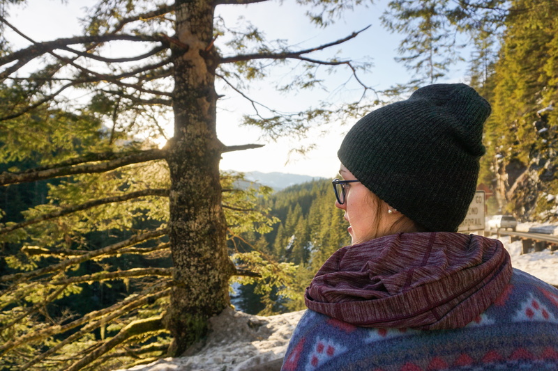 wildlife, winter, tree, green, mount baker highway, knit hat, nature, lake, trees, clothing, one person, leisure activity, sun, lifestyles, hat, rear view