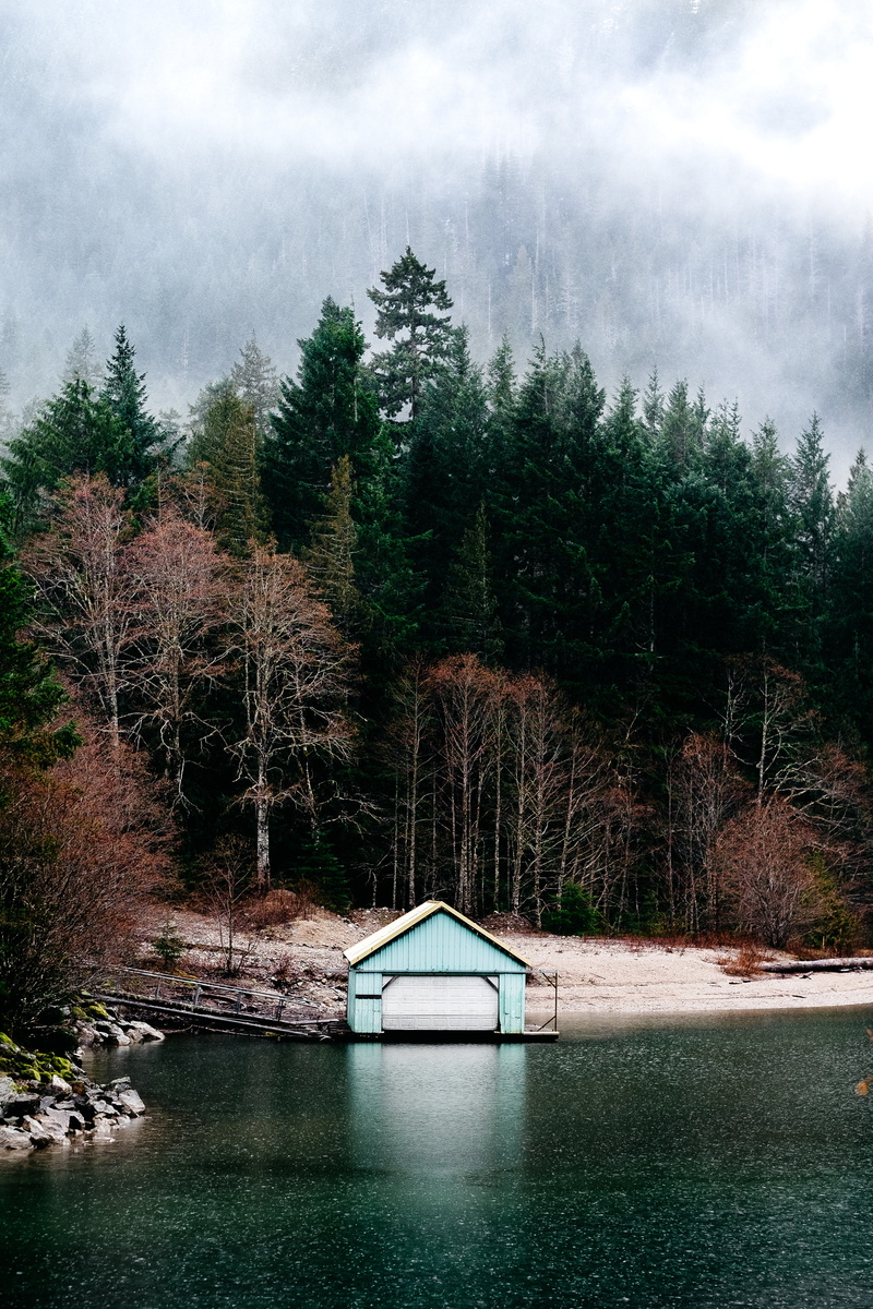 rain, outdoors, no people, tranquil scene, cottage, nature, architecture, beauty in nature, growth, washington, tree, building exterior, seattle, forest