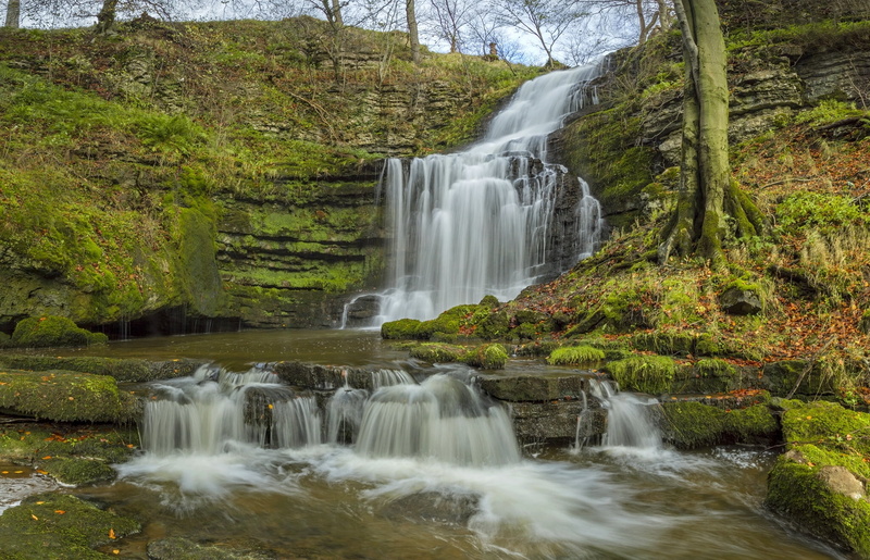 tree, waterfall, England, land, rainforest, long exposure, water, beauty in nature, falling water, motion, autumn, rock - object, no people, 1080P, power in nature