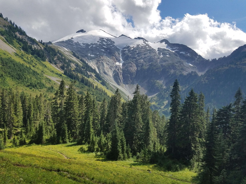 growth, tree, 4K, plant, sky, day, landscape, nature, mountain peak, outdoors, mountain, coniferous tree, snowcapped mountain, cloud - sky, pine tree