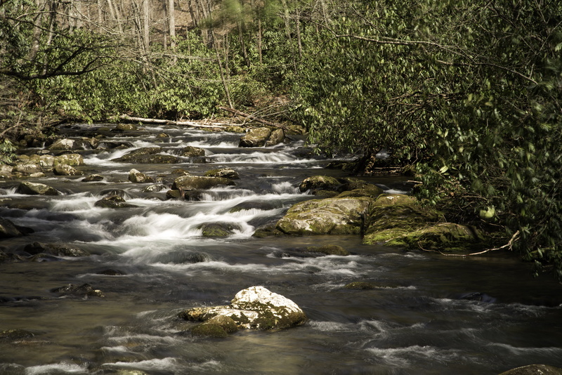 plant, water, land, north, stream, scenics, rock, flowing, tranquility, Landscape, great, mountains, public domain, landscapes, stream - flowing water
