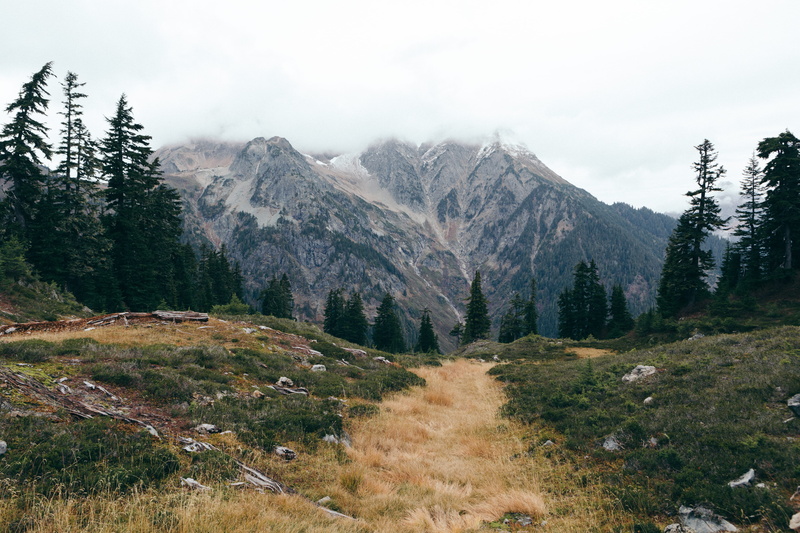 tranquil scene, plant, 5K, non-urban scene, pine woodland, tranquility, scenics - nature, clouds, pine tree, mountain range, no people, valley, mountain peak