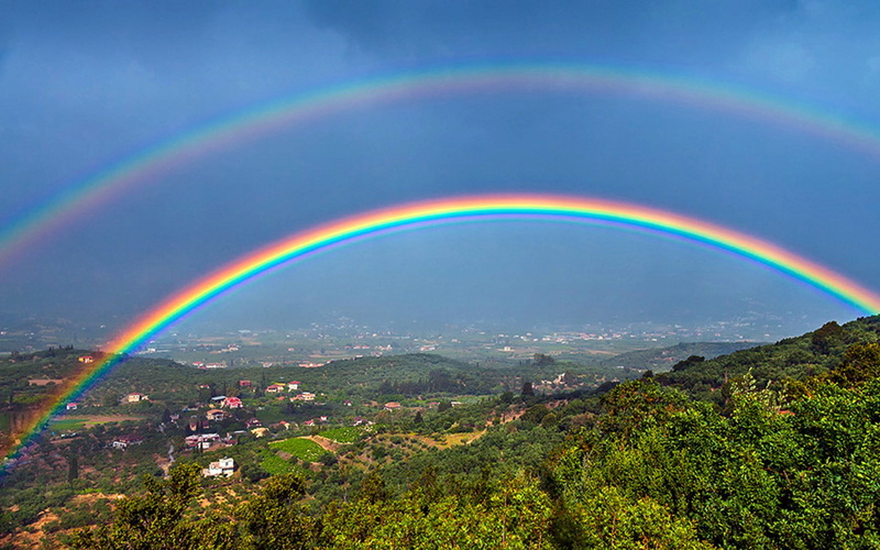 environment, outdoors, tree, 1080P, multi colored, city, plant, rain, idyllic, cityscape, no people, rainbow, building exterior, architecture, water, nature