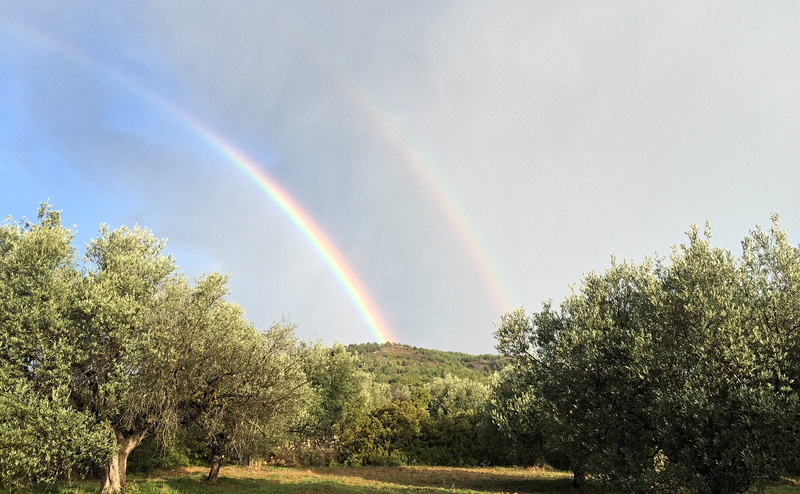 tree, cloud - sky, rhodes, tranquility, multi colored, land, double, rainbow, tranquil scene, sky, non-urban scene, trees, plant, low angle view, 2K, scenics - nature