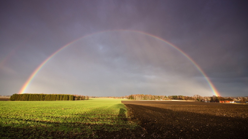 beauty in nature, nature, rainbow, land, cloud - sky, tranquil scene, sky, scenics - nature, field, rain, rural scene, no people, plant, idyllic, 1080P