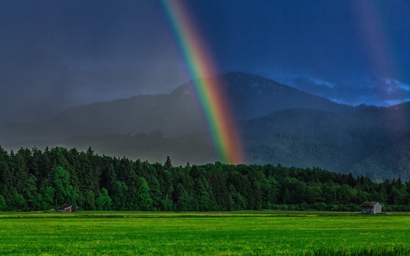 sky, amazing nature images hd  1920x1200, rainbow, no people, nature, mountain, plant, spectrum, environment, tranquil scene, non-urban scene, rain, idyllic