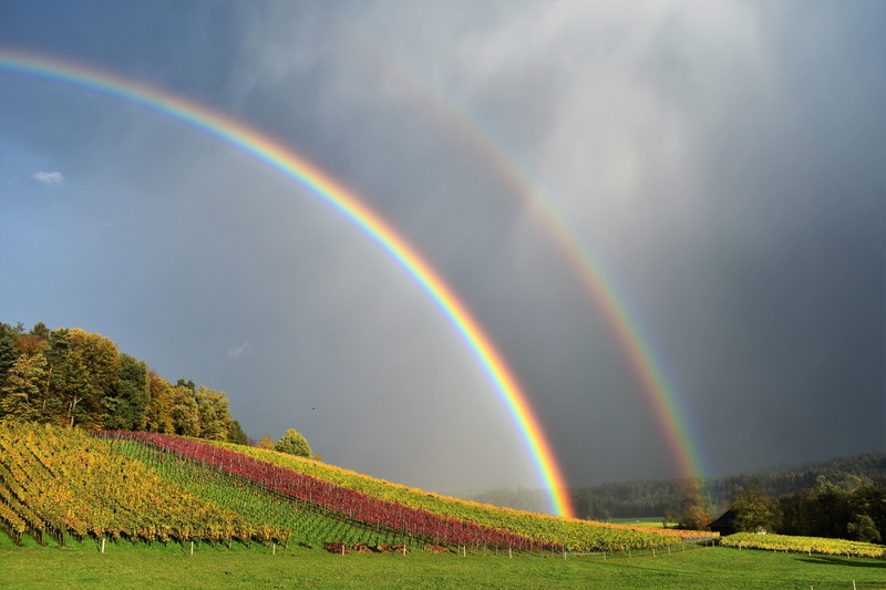 double rainbow, field, beauty in nature, outdoors, mood, nature, 5K, land, natural phenomenon, tranquility, non-urban scene, sky, no people, rain, rainbow