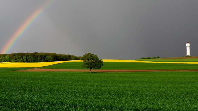 scene, farm, plant, grassland, summer, nature, horizon, fields, land, landscape, country, season, 1080P, spring, pasture, weather, day, clear, grass, cloud