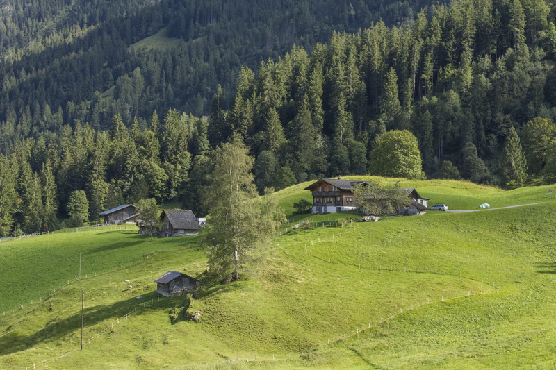 no people, growth, forest, built structure, switzerland, day, green color, landscape, outdoors, land, building exterior, scenics - nature, building, interlaken