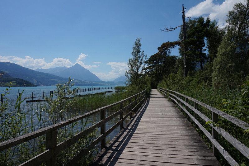 outdoors, sky, nature, tranquility, web, bank, wood paneling, trees, holiday, mountains, sun, beauty in nature, railing, the way forward, wood - material