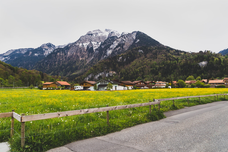 swiss, switzerland, sky, photo by tranmautritam, cloud, day, green color, cloudy, house, road, building, built structure, flower, photo, interlaken, beauty in nature