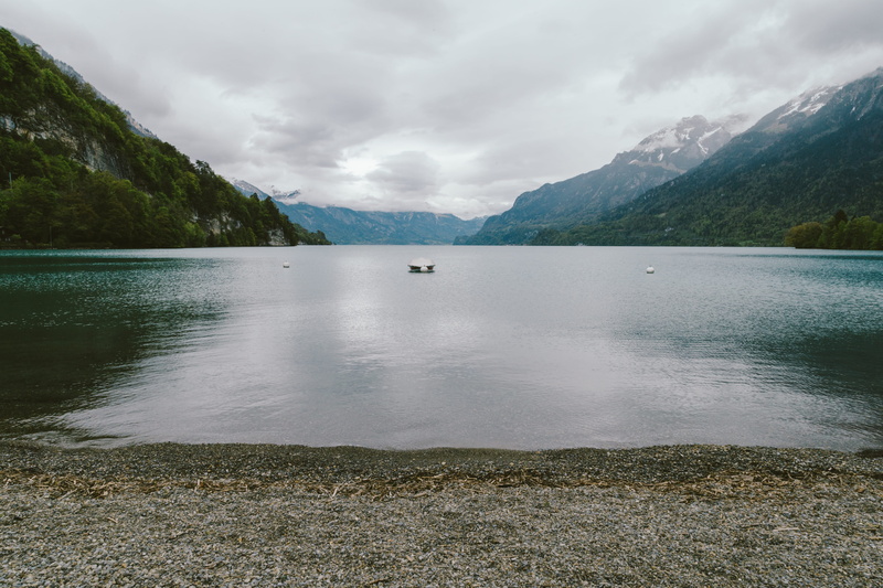 forest, photo by tranmautritam, vsco  photo, non-urban scene, tranquil scene, vsco, lake, tranmautritam themeforest, tranmautritam, tranquility, photo