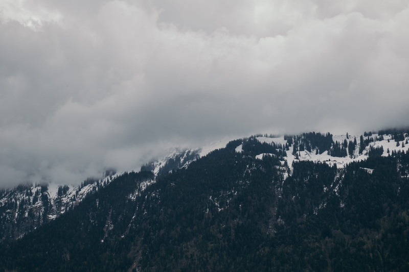 sky, tree, coniferous tree, mountain Range, pine woodland, landscape, Interlaken, scenics, european Alps, plant, environment, winter, tranquil scene, photo