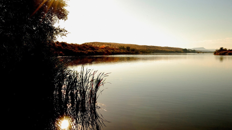 water, plant, hills, sky, waterfront, reeds, tree, sunlight, clear sky, day, nature, lake, scenics - nature, non-urban scene, tranquil scene, reflection