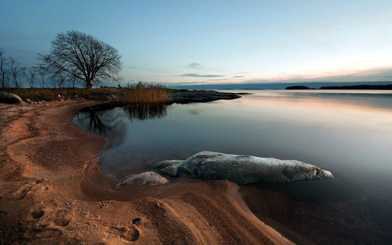 reflection, scenics - nature, beach, sunset, mud, sand, sky, landscape, winter, reeds, 2K, environment, beauty in nature, tree, land, cloud - sky, lake