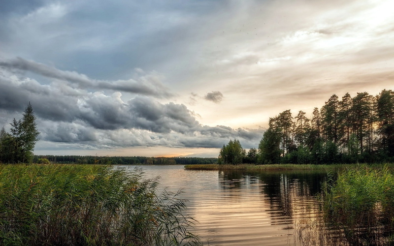 landscape, trees, ripples, water, nature, reeds, clouds, sky, evening, 1080P