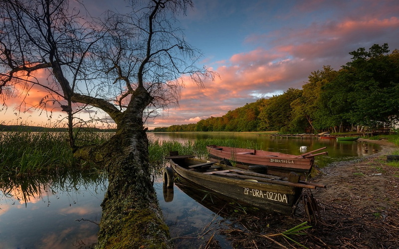 boat, landscape, dock, beauty in nature, sky, tranquility, transportation, reeds, scenics - nature, tranquil scene, cloud - sky, growth, tree, sunset, clouds