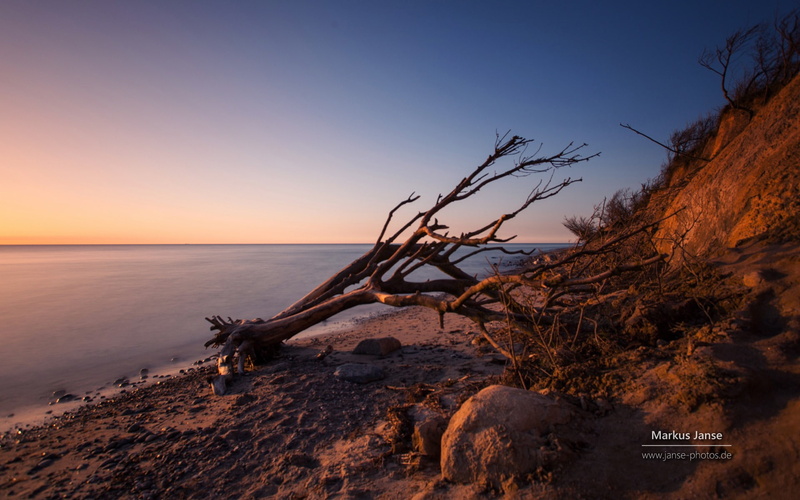 tranquility, markus, tree, idyllic, beach, sea, plant, dead plant, water, germany, non-urban scene, horizon, horizon over water, no people, baltic, sunset