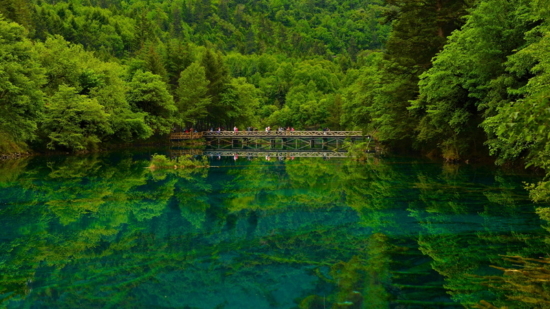 tranquility, Sichuan, scenics - nature, tree, foliage, bridge, green color, non-urban scene, no people, reflection, nature, brown, growth, lake, reserve