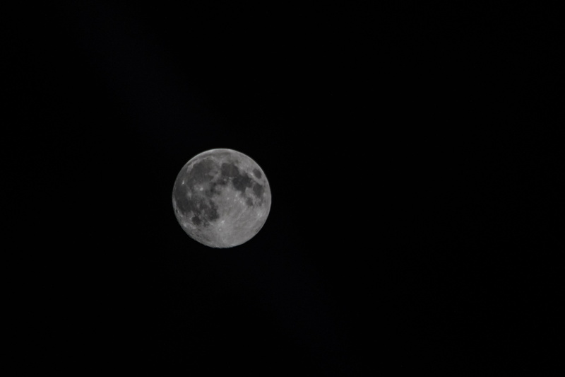 beauty in nature, nasa, tranquility, space and astronomy, outdoors, moonset, low angle view, planetary moon, shape, geometric shape, winter, copy space
