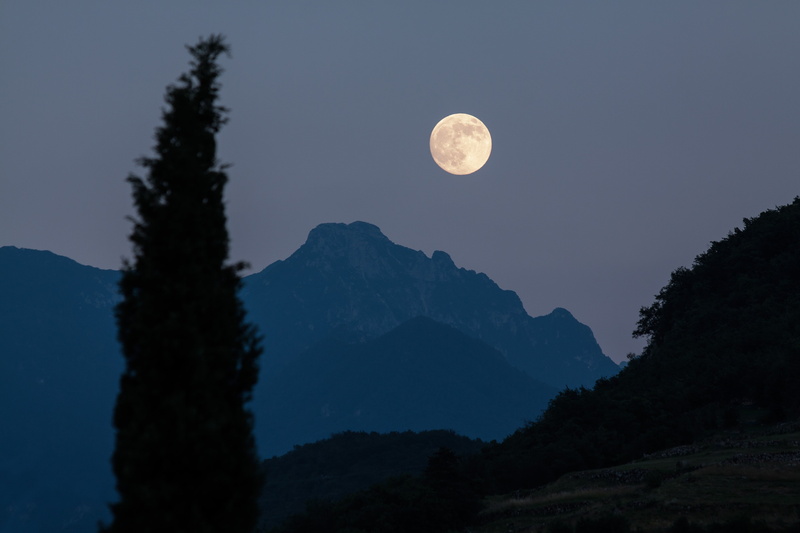 mountains, moonlight, sky, no people, evening, pine tree, cypress, landscape, twilight, pine, astronomy, moon, space, 4K, silhouette, mountain range, mountain peak