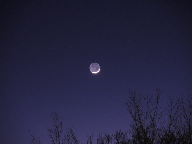 moonlight, no people, beauty in nature, scenics - nature, space, moon, clear sky, united states, tranquility, outdoors, arlington, astronomy, tree, plant