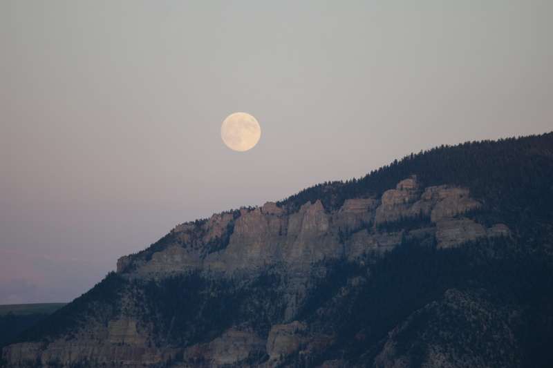 clear sky, round, gray, forest, moon, idyllic, beauty in nature, yellowstonenationalpark, dusk, sky, 5K, usa, space, planetary moon, moonrise, outdoors