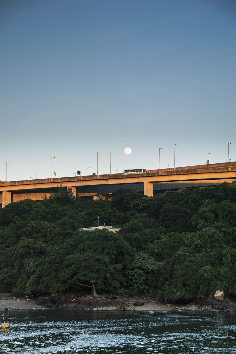 plant, day, connection, built structure, moonrise, architecture, no people, waterfront, copy space, outdoors, bus, bridge, clear sky, 4K, tree, beauty in nature