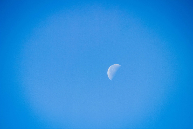 moon, sky, night, blue background, nature, low angle view, half moon, morning moon, astrology, scenics - nature, clear sky, no people, tranquility, blue